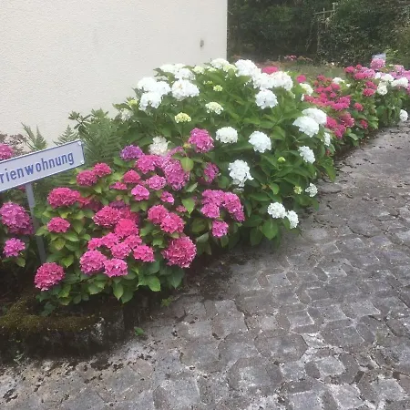 Appartement Sponheim *